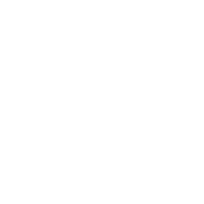 Icon PINO International